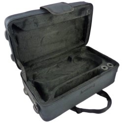 Kornet i Bb John Packer JP071, lakeret